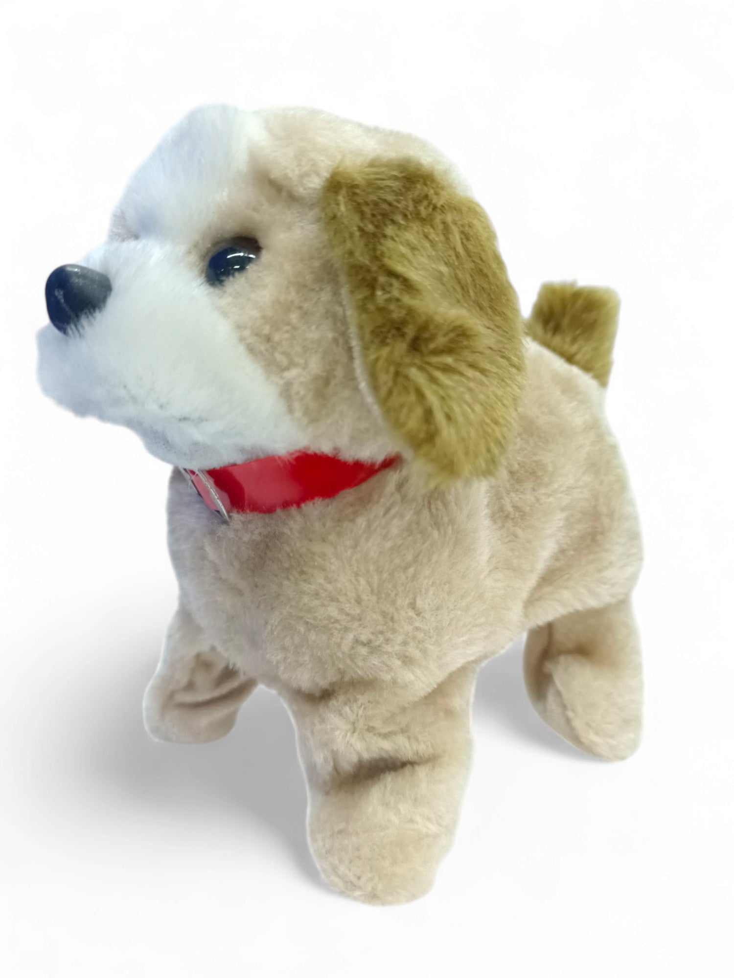 898 JUMBING DOG 898 JUMBING DOG